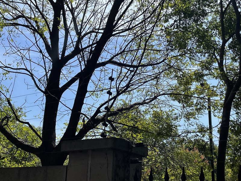 上海小区弱电安防维保服务